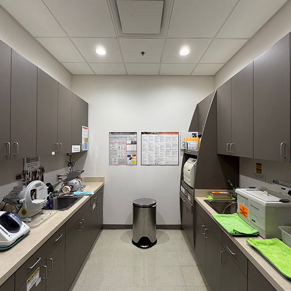 Office Tour